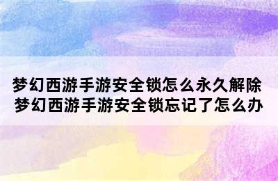 梦幻西游手游安全锁怎么永久解除 梦幻西游手游安全锁忘记了怎么办